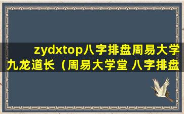 zydxtop八字排盘周易大学九龙道长（周易大学堂 八字排盘 九龙道长）